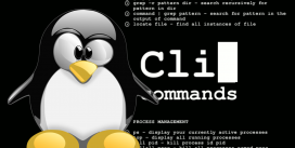 linux OS cli